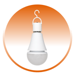 Battery back up light bulb